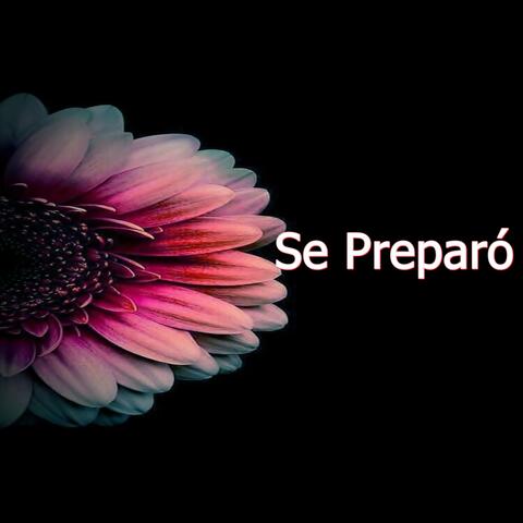 Se Preparó