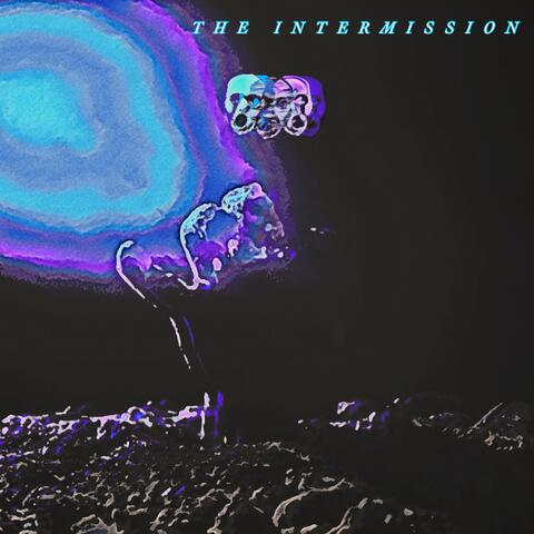 The Intermission