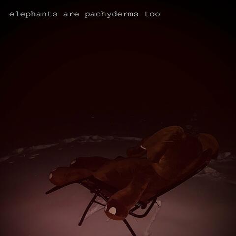 Elephants Are Pachyderms Too