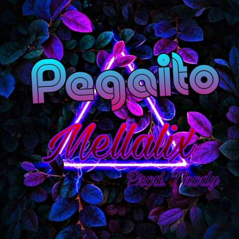 Pegaito