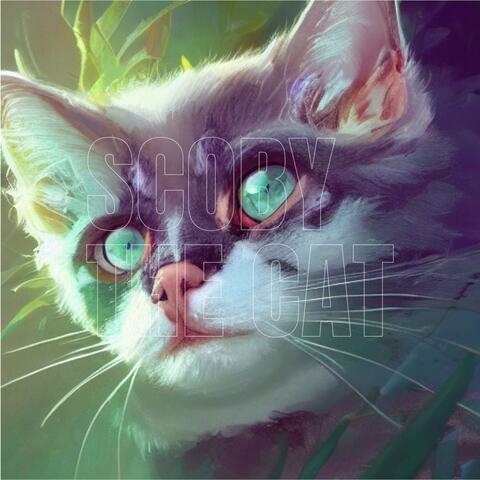Scoby the Cat