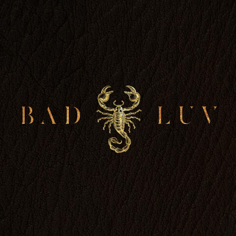 Bad Luv