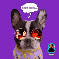 Nise Disse
