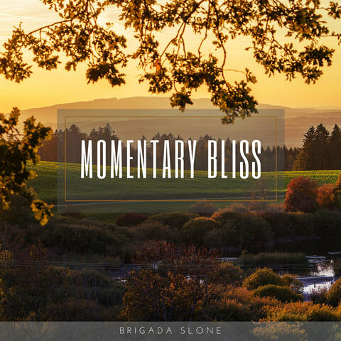 Momentary Bliss
