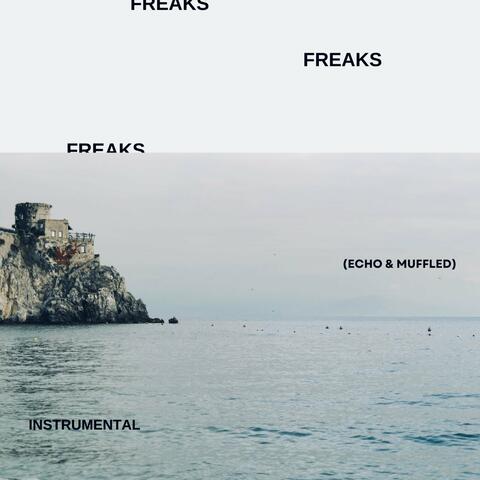 Freaks (Echo & Muffled) [Instrumental]