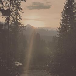 Peaceful Journey