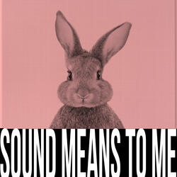 Sound Means To Me