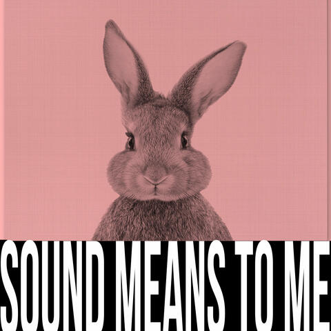 Sound Means To Me