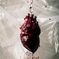 Heart Skelton