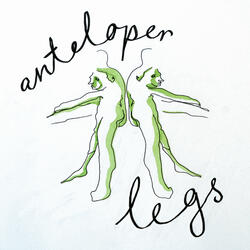 Legs