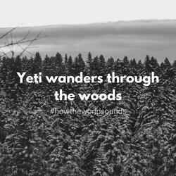 Yeti Wanders Through the Woods