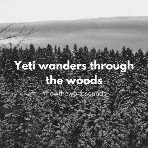 Yeti Wanders Through the Woods