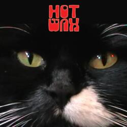 Pat the Killer Cat