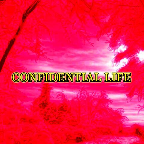 Confidential Life