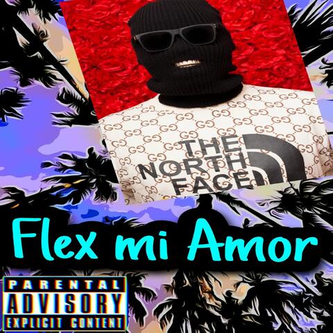 Flex Mi Amor