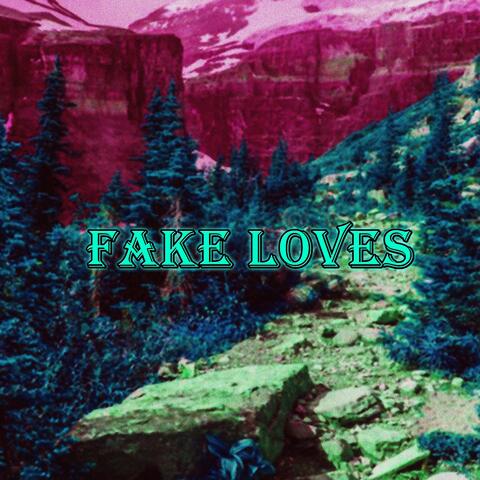 Fake Loves