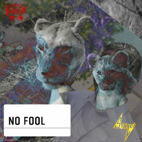 No Fool