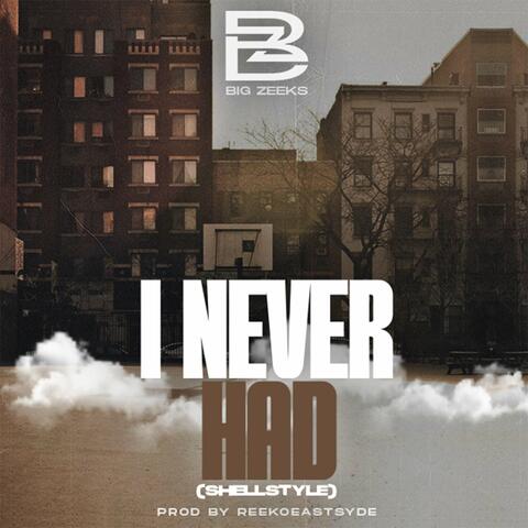 I NEVER HAD