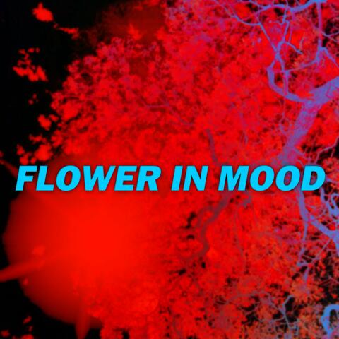Flower in Mood