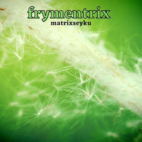 matrixseyku