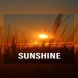 Sunshine