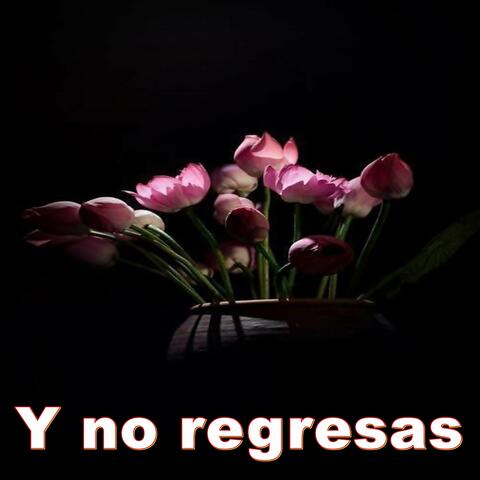 Y no regresas