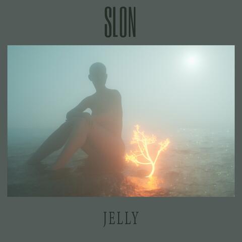Jelly