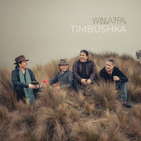 Winiaypa Timbushka