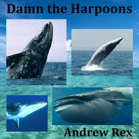 Damn the Harpoons