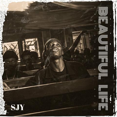 Beautiful Life