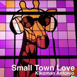 Small Town Love