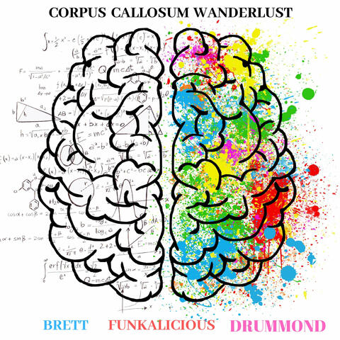 Corpus Callosum Wanderlust