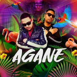 Agane
