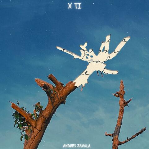 x ti