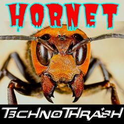 Hornet
