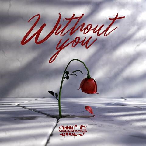 Without You