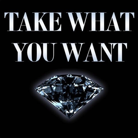 Take What You Want (Instrumental)