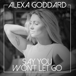 Say You Won't Let Go