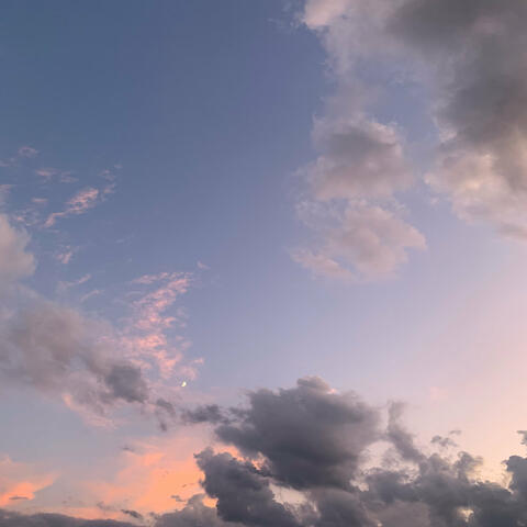 Head in the Clouds