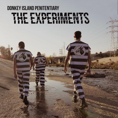The Experiments