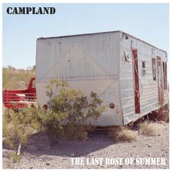 The Last Rose of Summer