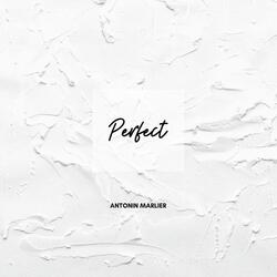 Perfect