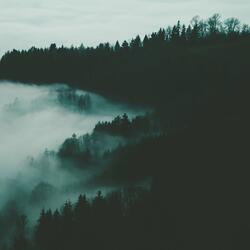 Songs For Yourself