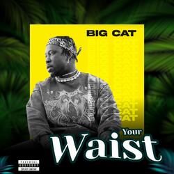 Your Waist