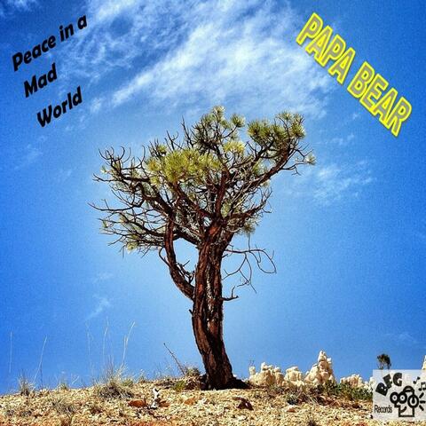 Peace in a Mad World