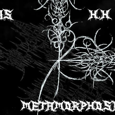 Metamorphosis