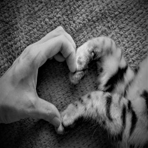 Your Hand In Mine