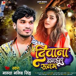 Diwana Banailu Sanam
