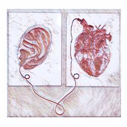 Feelings Talk (Heartbeats)