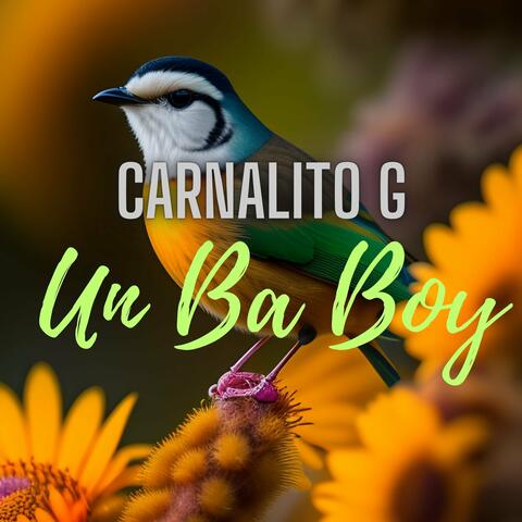 Un Ba Boy